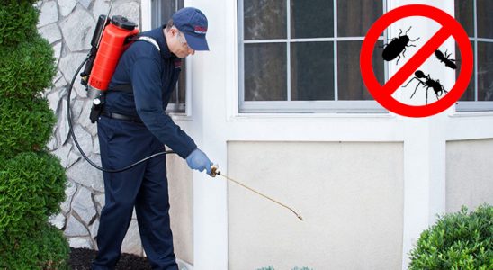 Çavdır Kene İlaçlama böcek ilaçlama ve haşere kontrolü — ilaclama-tr.com